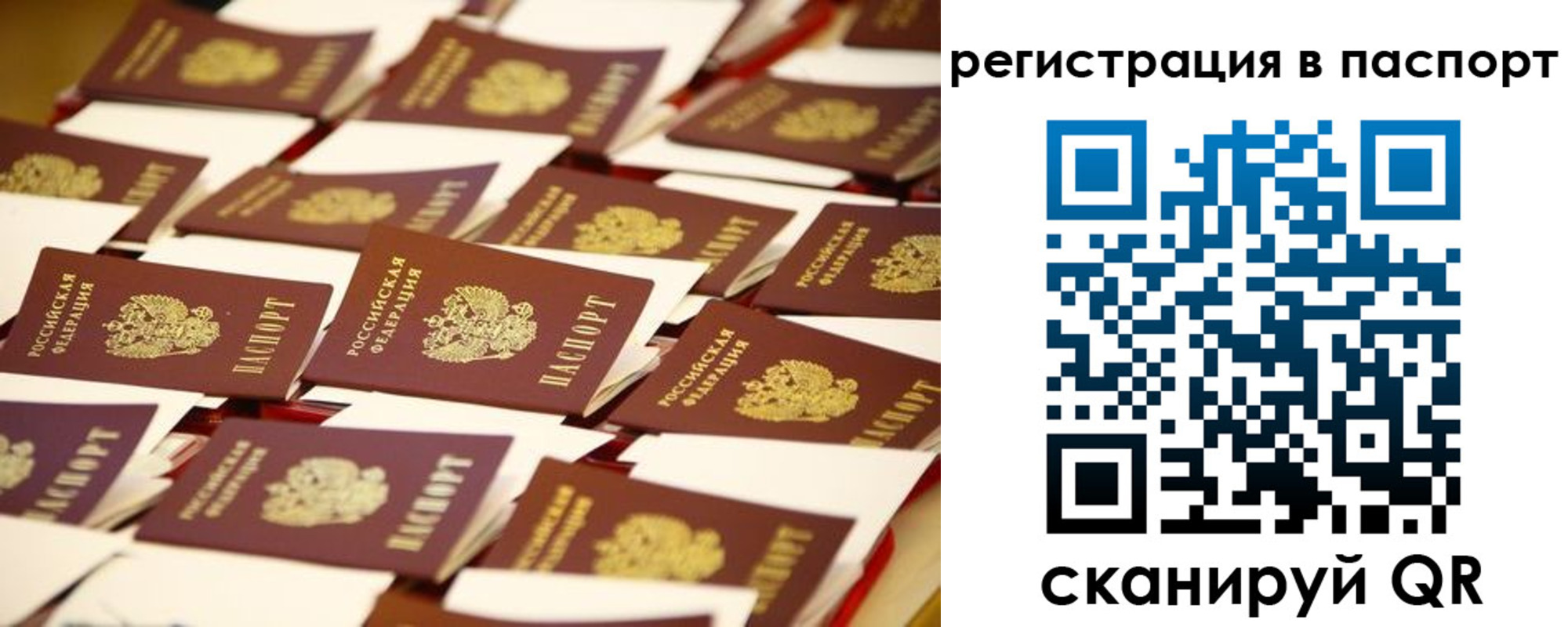 прописка гарантия в Адыгее